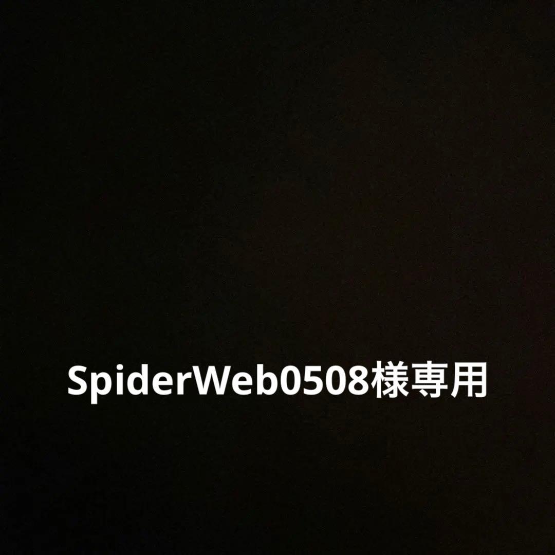 コミック・アニメ SpiderWeb0508