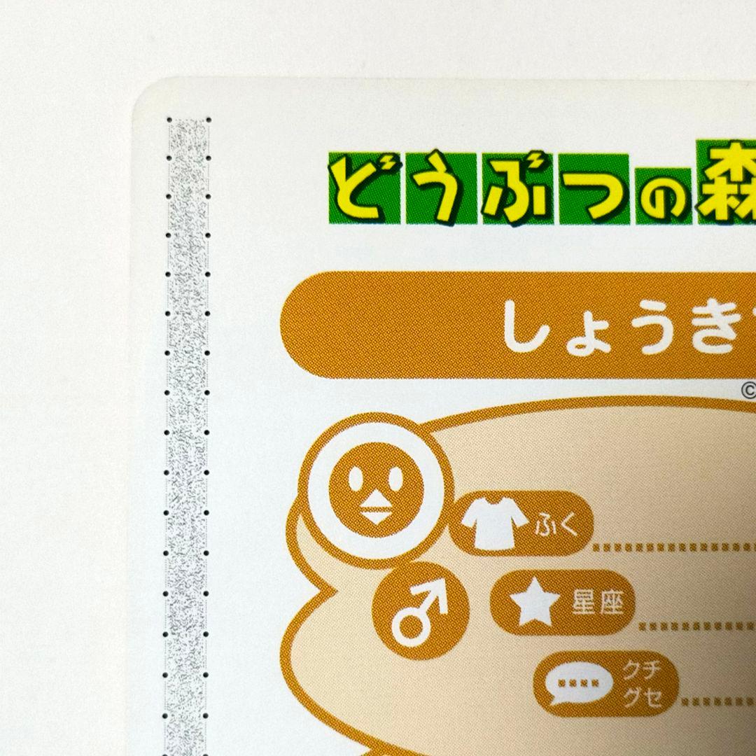 どうぶつの森＋ カードe＋ しょうきち PR 希少 当時物 ゲームキューブ