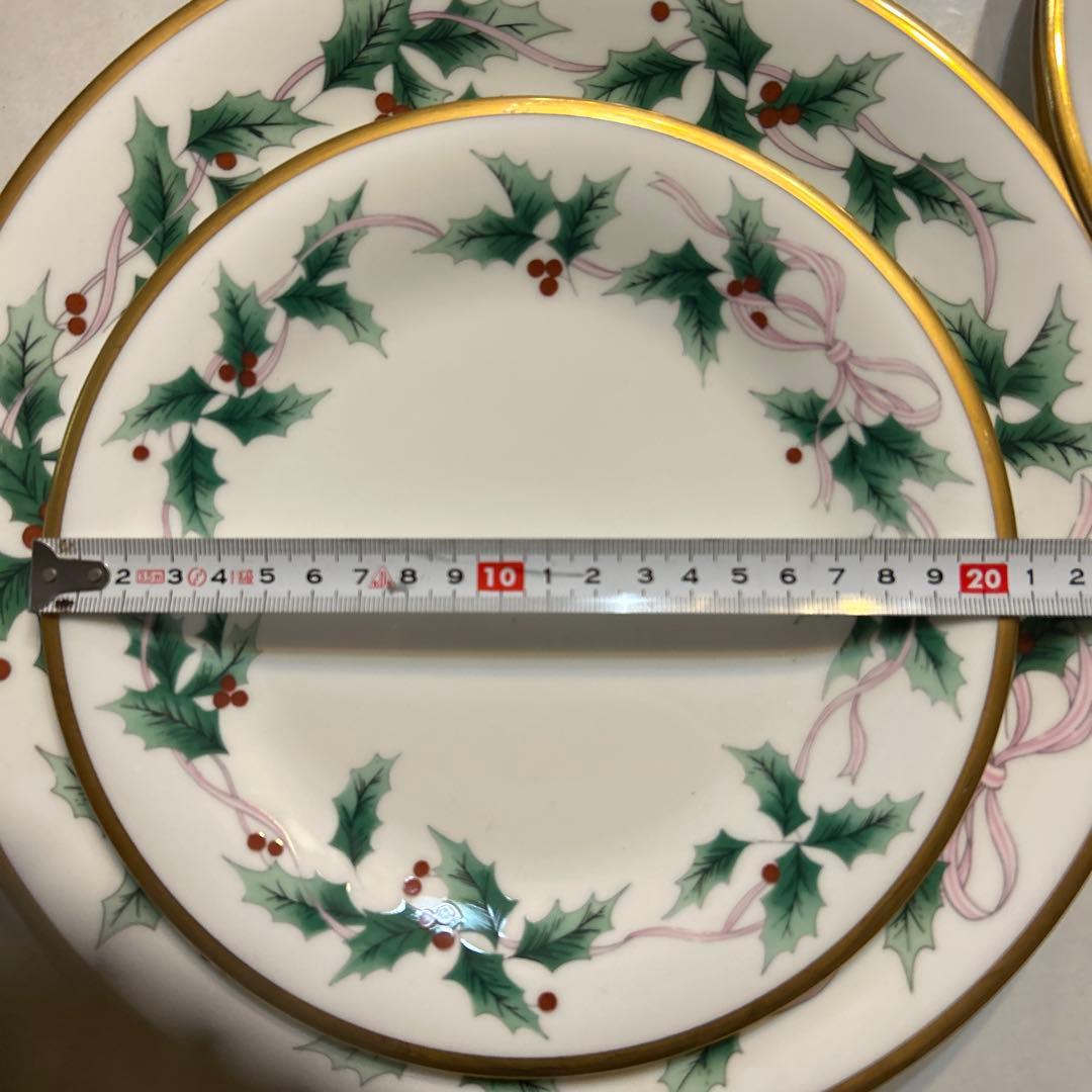 クリスマスプレートセット ヒイラギデザイン　大27.５cm中21cm 10枚
