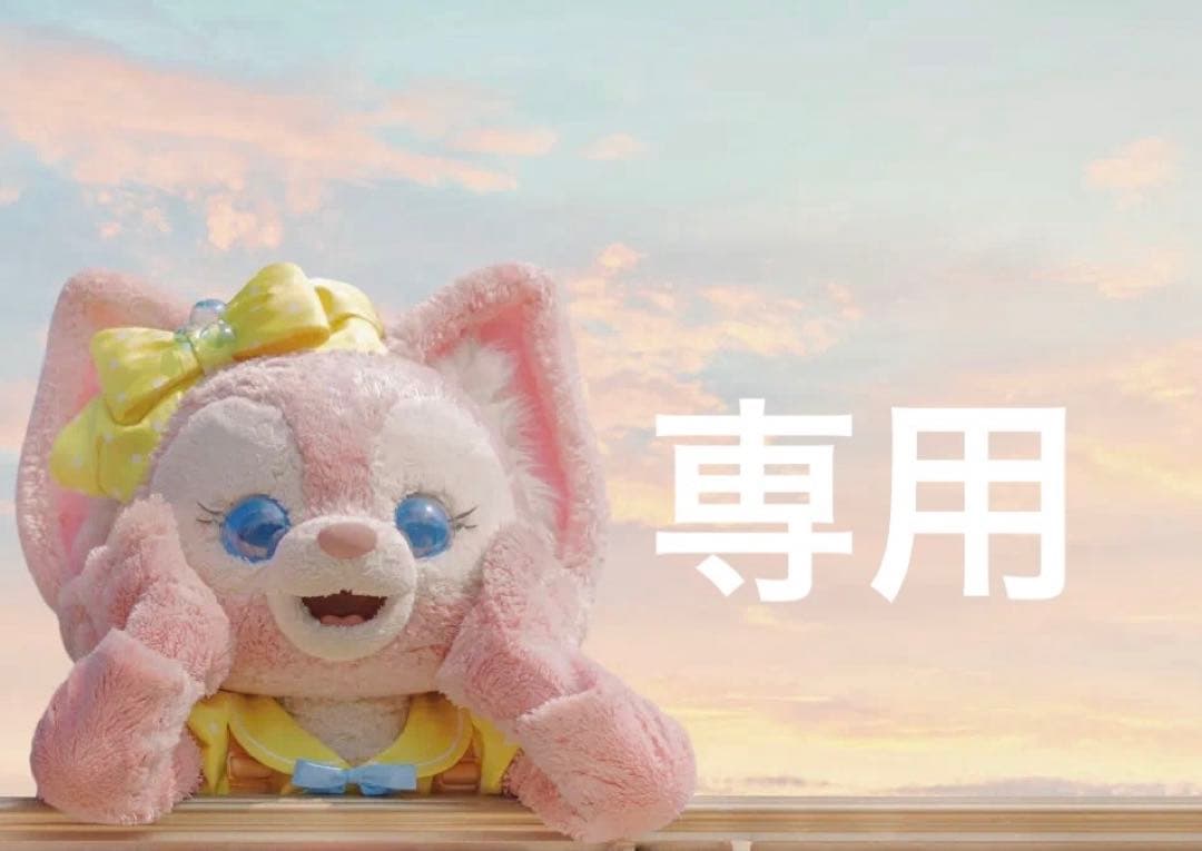 専用ページ　5点