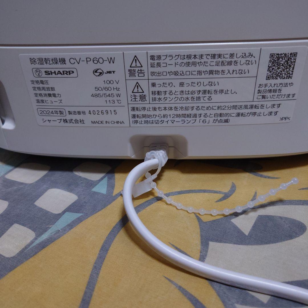 近藤日出男「増長天頭像」油彩 F6 額装 油絵 油画 絵画 B チロ 2025