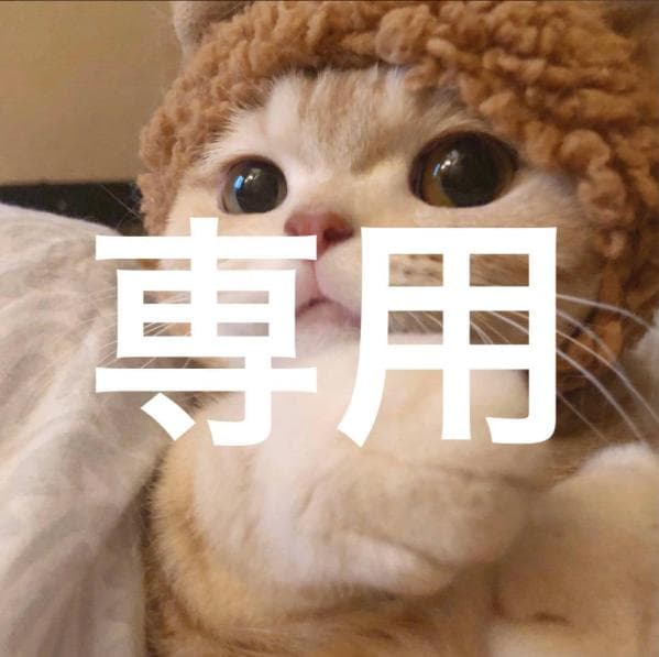 ゆーちゃん樣専用S