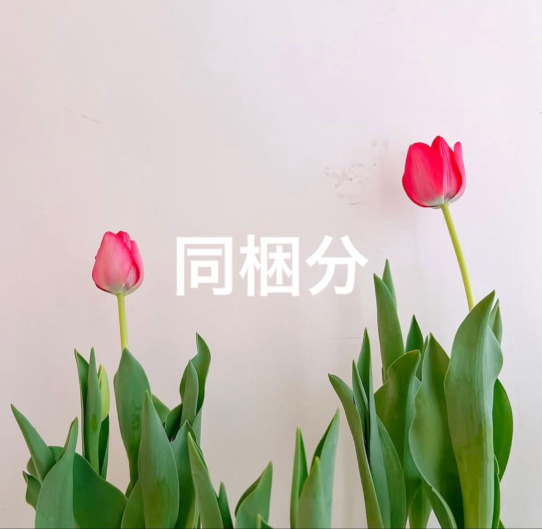 ♡様　同梱分です