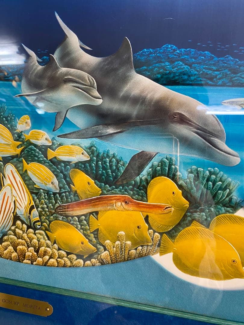 絵画 美術品 森田剛介 GOSUKE MORITA ドルフィン リトグラフ - メルカリ