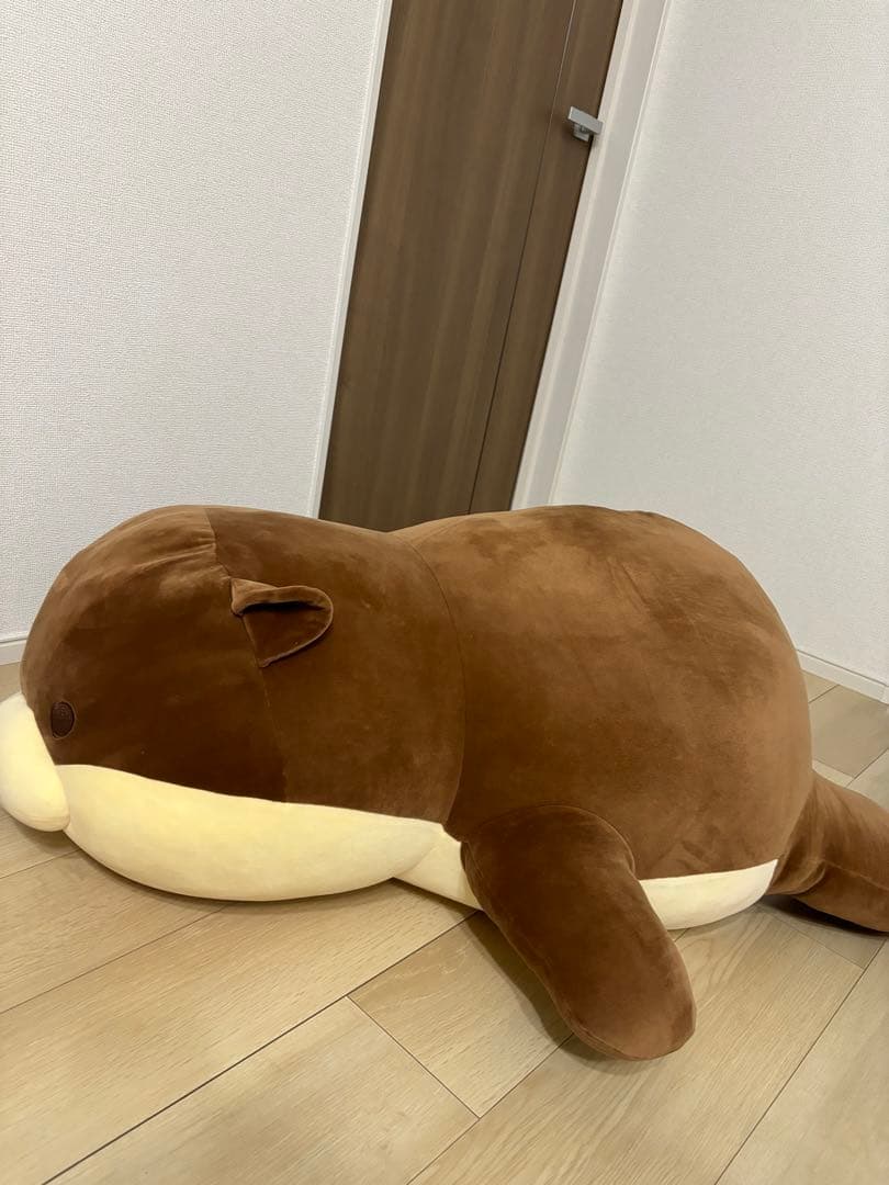 大きなカワウソぬいぐるみ水族館くじ一等 カワウソ - メルカリ