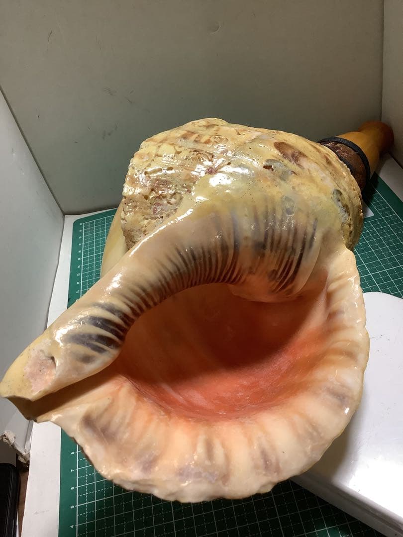 ヤフメリ18・法螺貝・山伏・修験者・金峯山・羽黒山・戦国武将・縁起物