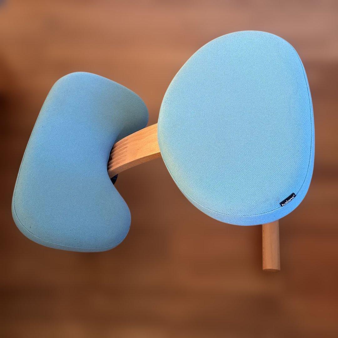 balans Easy バランスチェア