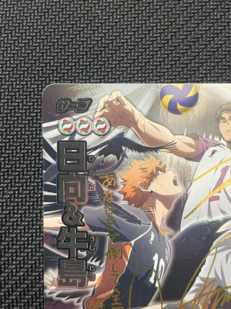 ハイキュー!! 日向翔陽 牛島若利 限定バボカ 白鳥沢 烏野 dvd特典