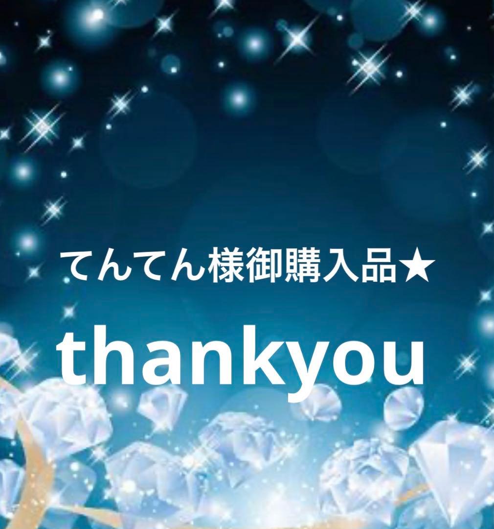 てんてん様御購入品★