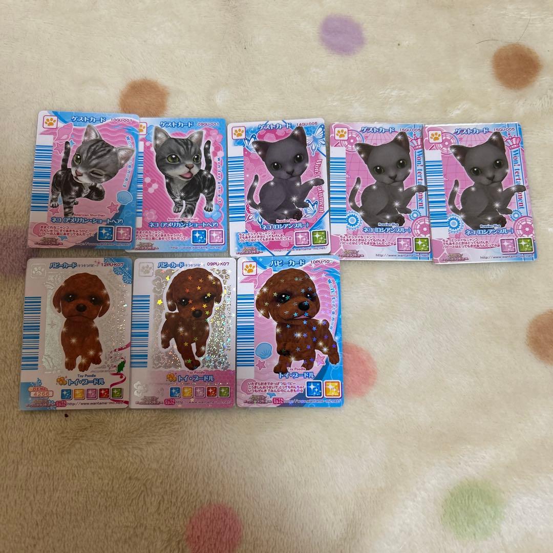 ワンタメ　カード　m＊プロフ必読様確認用 2026年最新】プロフ必読の人気アイテム - メルカリ