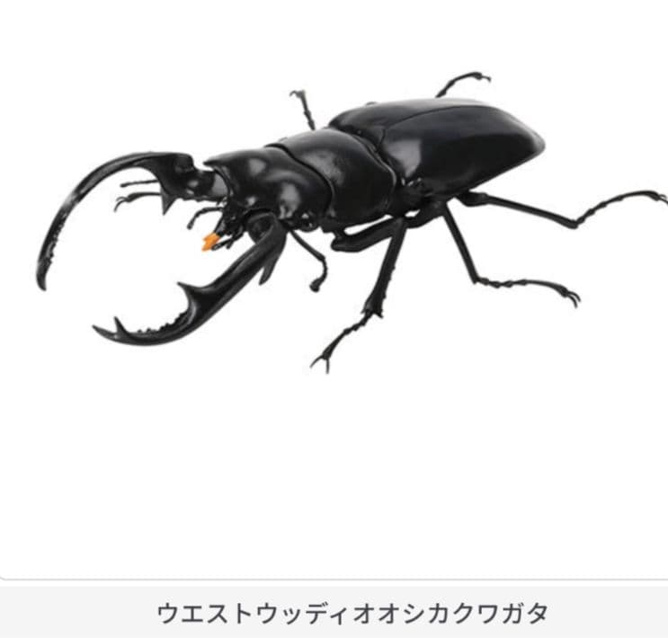 いきもの大図鑑 くわがた07 ウエストウッディオオシカクワガタ - メルカリ