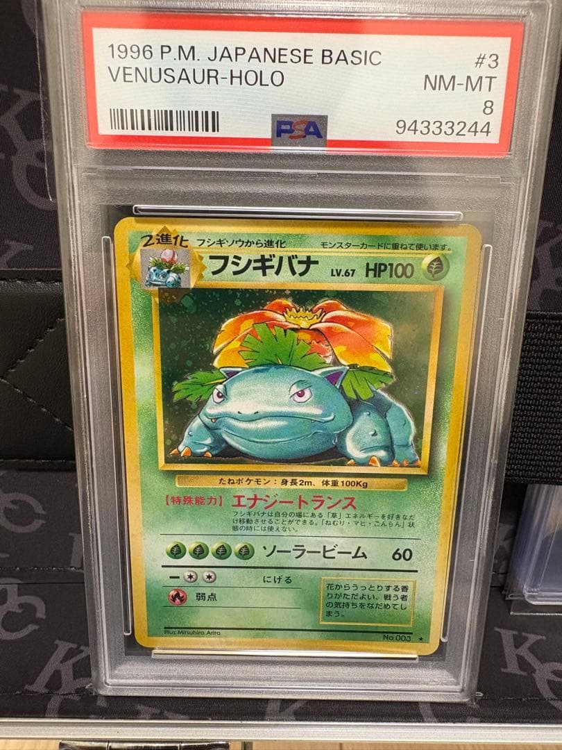 PSA8 フシギバナ　旧裏