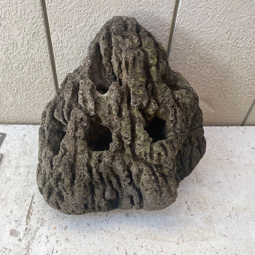 Kevin　雲山石 溶岩石鉢　レイアウト穴7個　水抜き穴あり