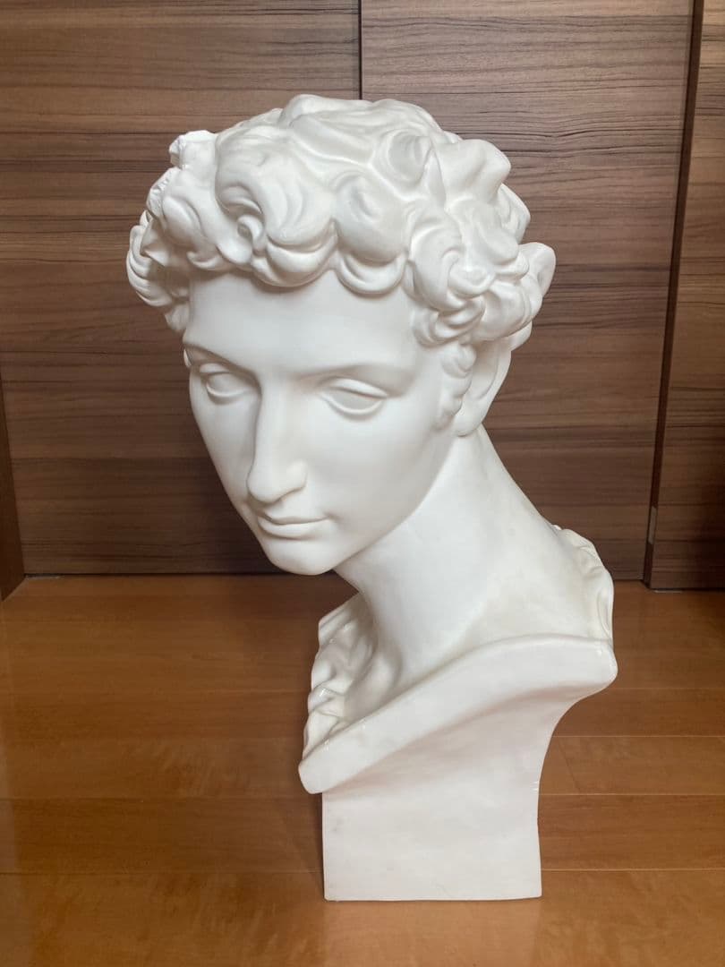 メディチ石膏像　　デッサン首像