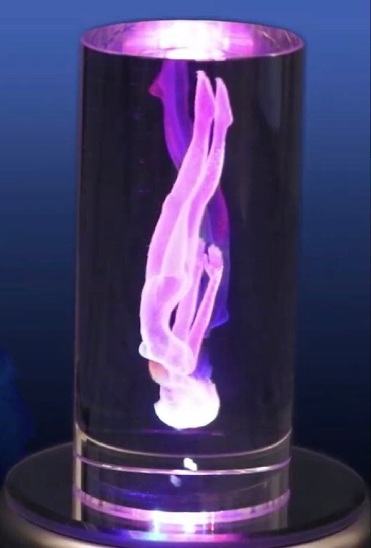 EVANGELION STORE限定 メモリアルクリスタル 綾波レイ　再販静音版