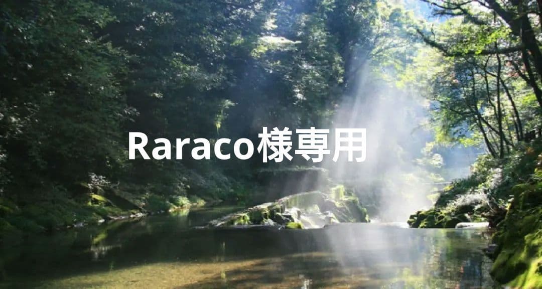 Raraco✨特典付電磁波防止✨本物CMCペンダントUSA版強力　4本