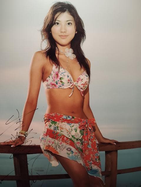 非売品☆宣伝用 東レ水着 キャンペーンガール 直筆サイン入り 山岸舞彩