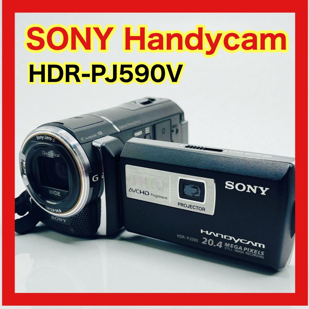 SONY Handycamビデオカメラ HDR-PJ590V バッテリー2個