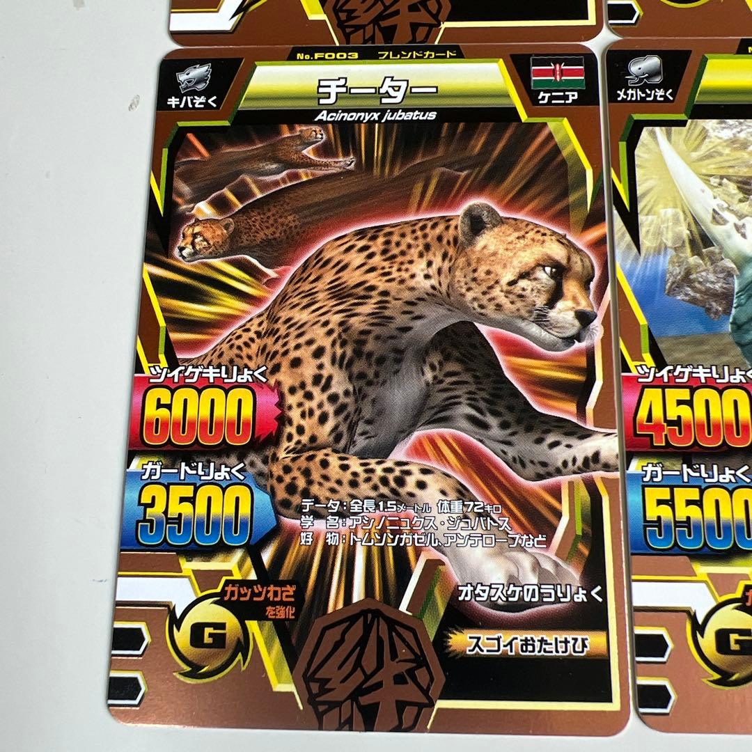 希少レア】グレートアニマルカイザー 銅レア フレンドカード 6枚セット
