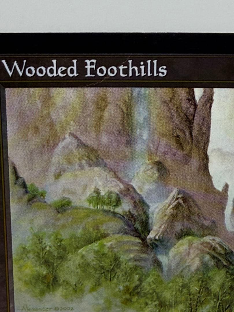 【Foil】《樹木茂る山麓/Wooded Foothills》[ONS]英語版