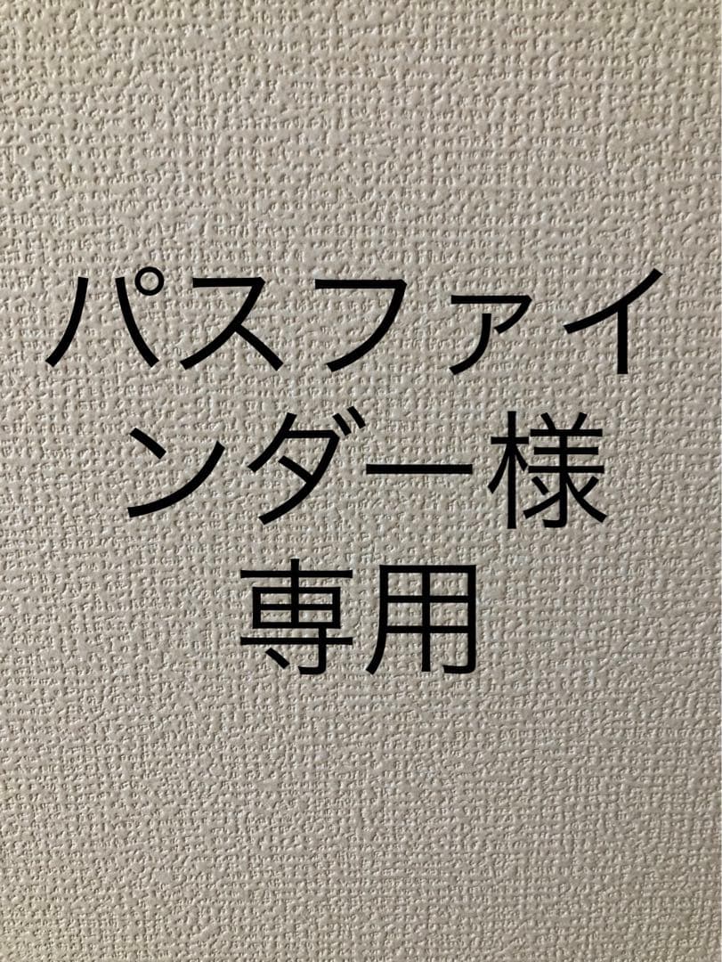 パスファインダー スケボー スケート スケートボード デッキ コンプリート