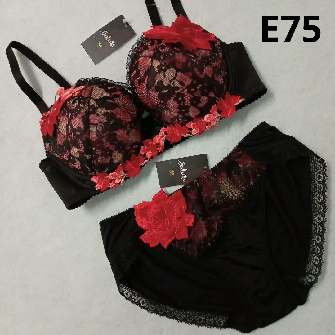 ちかちゃん　12246　サルート　ワコール　新品　ブラE75