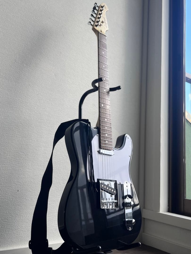 エレキギター 初心者入門セット付き ARIA（アリア） エレキギター 初心者セット Legend LST-Z 入門 (安心12