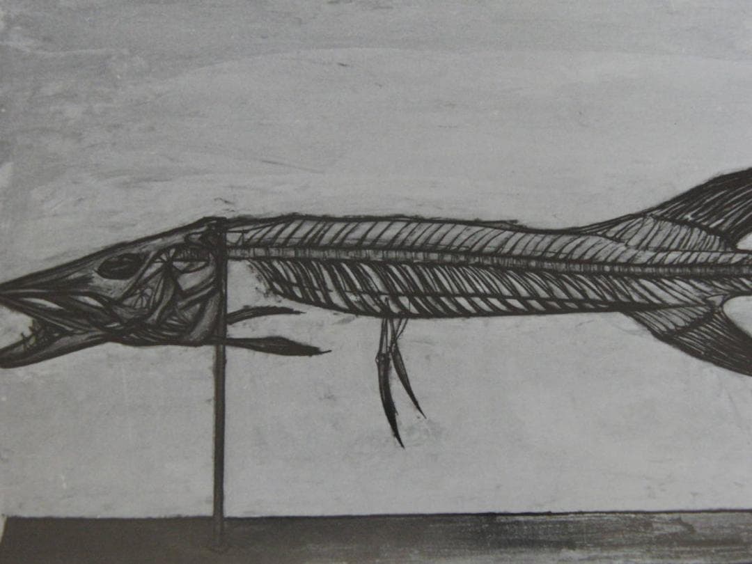 ベルナール・ビュッフェ【Squelette de poisson】 - メルカリ