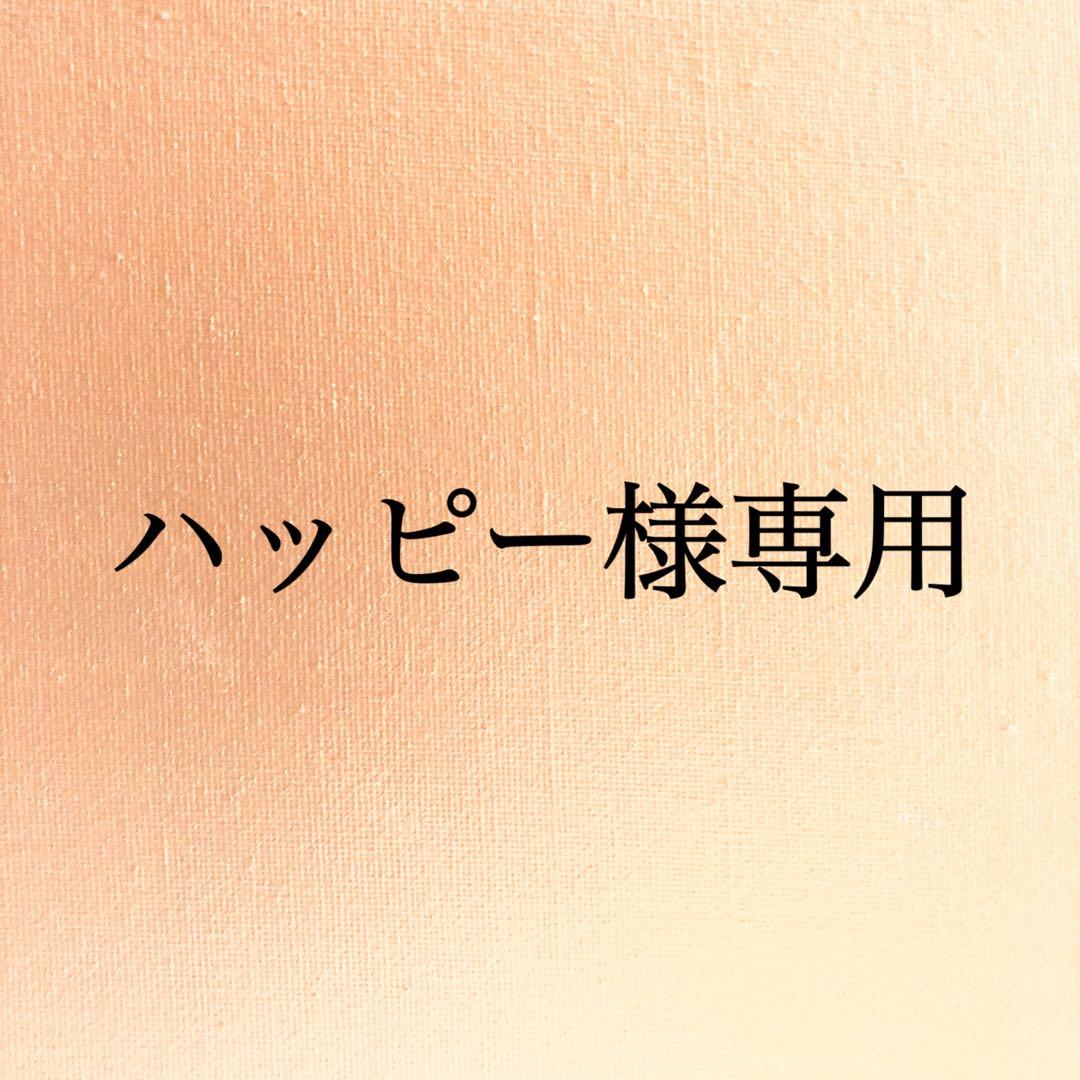 ハッピー出品 ZRP-ZX | Check-In-S 53L 80532 – ZERO HALLIBURTON