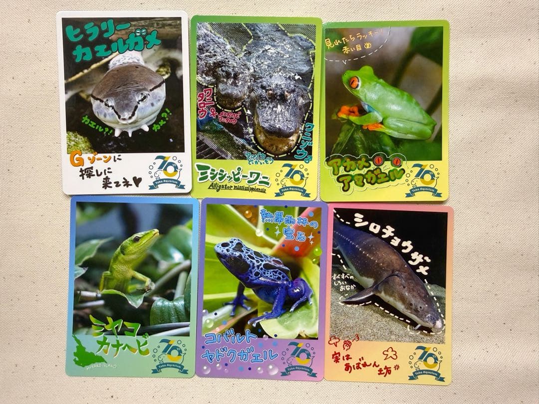 鳥羽水族館 70周年記念 トレカ - メルカリ