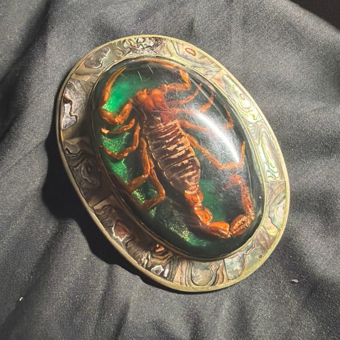 サソリ バックル ベルト ifsixwasnine kmrii v系 お兄系