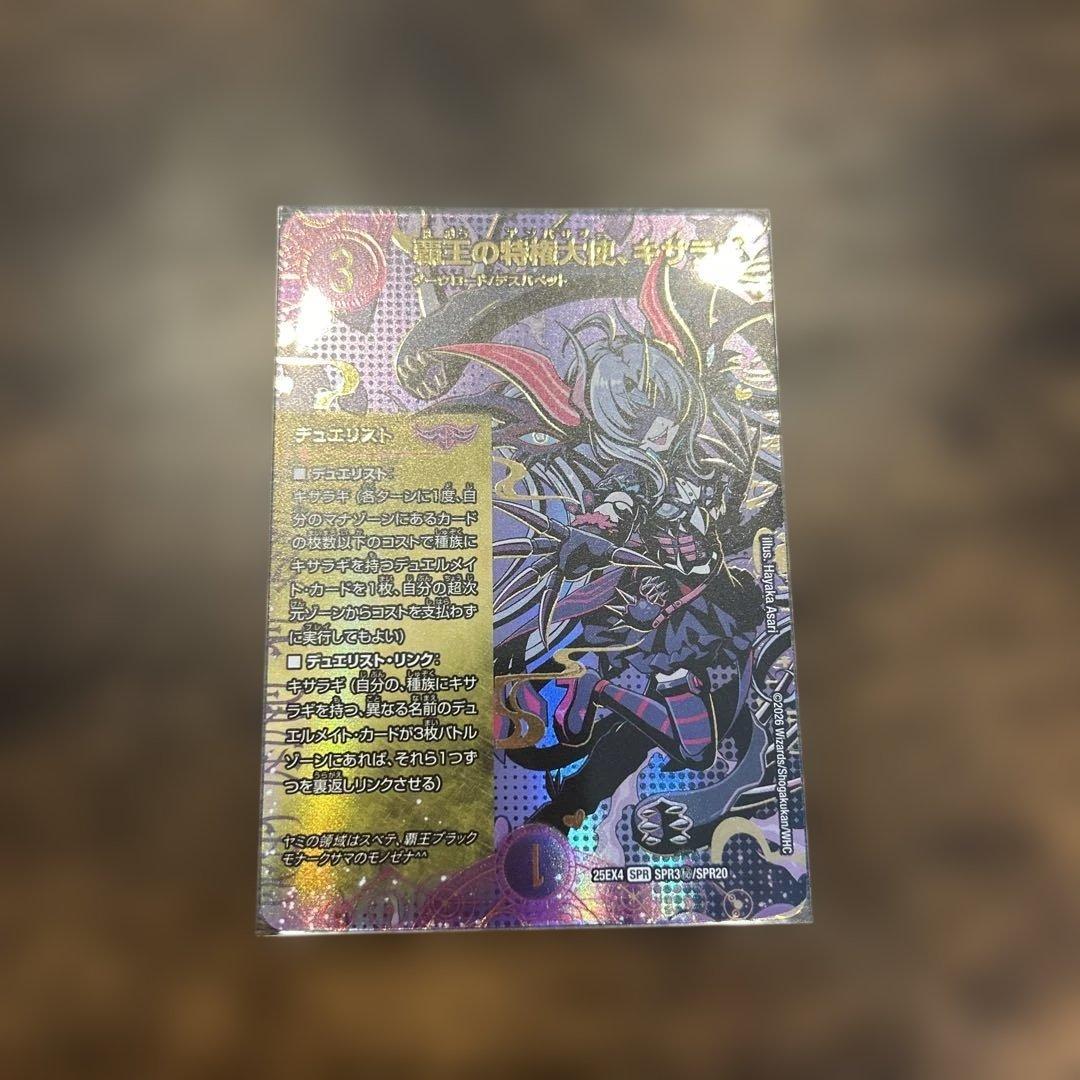 覇王の特権大使、キサラギ