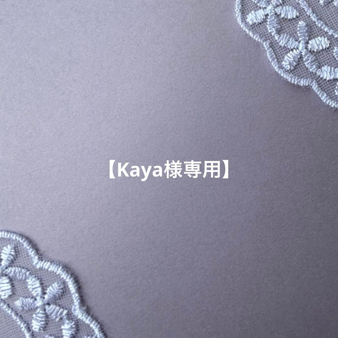 【専用です】♦︎希少♦︎グレープアゲート✴︎14kgfピアスP287•他