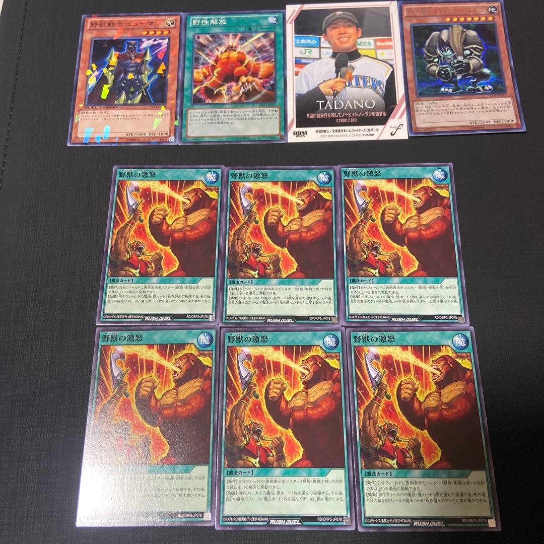 野獣の激怒　おまけカードあり Amazon.co.jp: 真魔獣 ガーゼット ノーマル 遊戯王 闇黒の呪縛 sr06