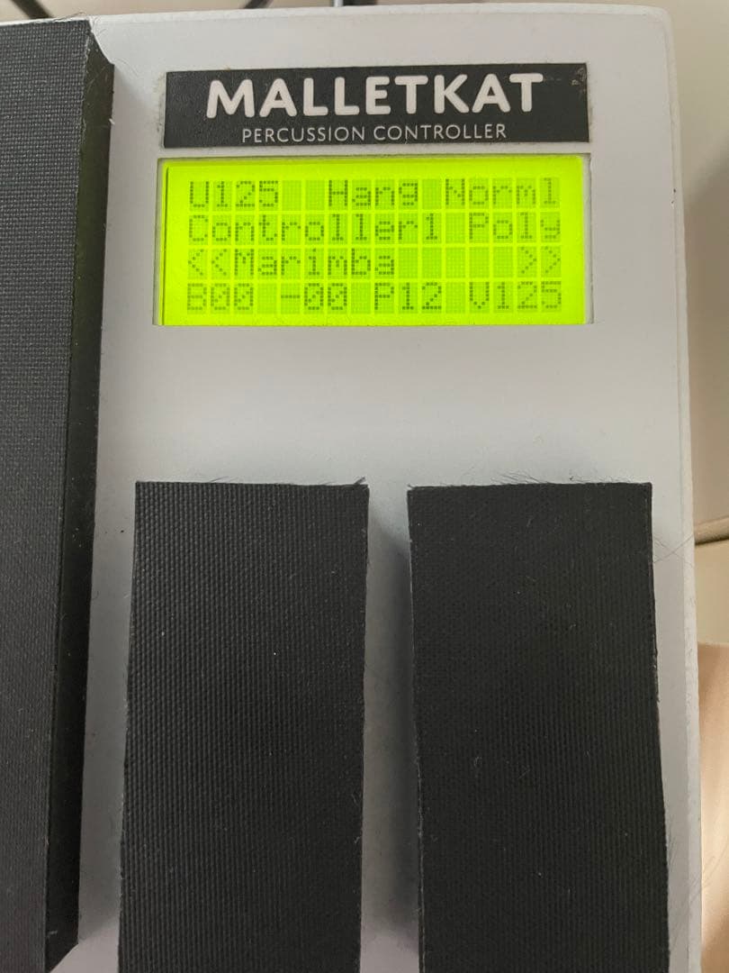 Alternate Mode vibeKAT 4オクターブ - メルカリ