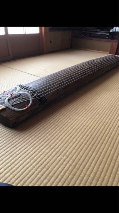 13弦高級お箏　発表会用　琴柱付き