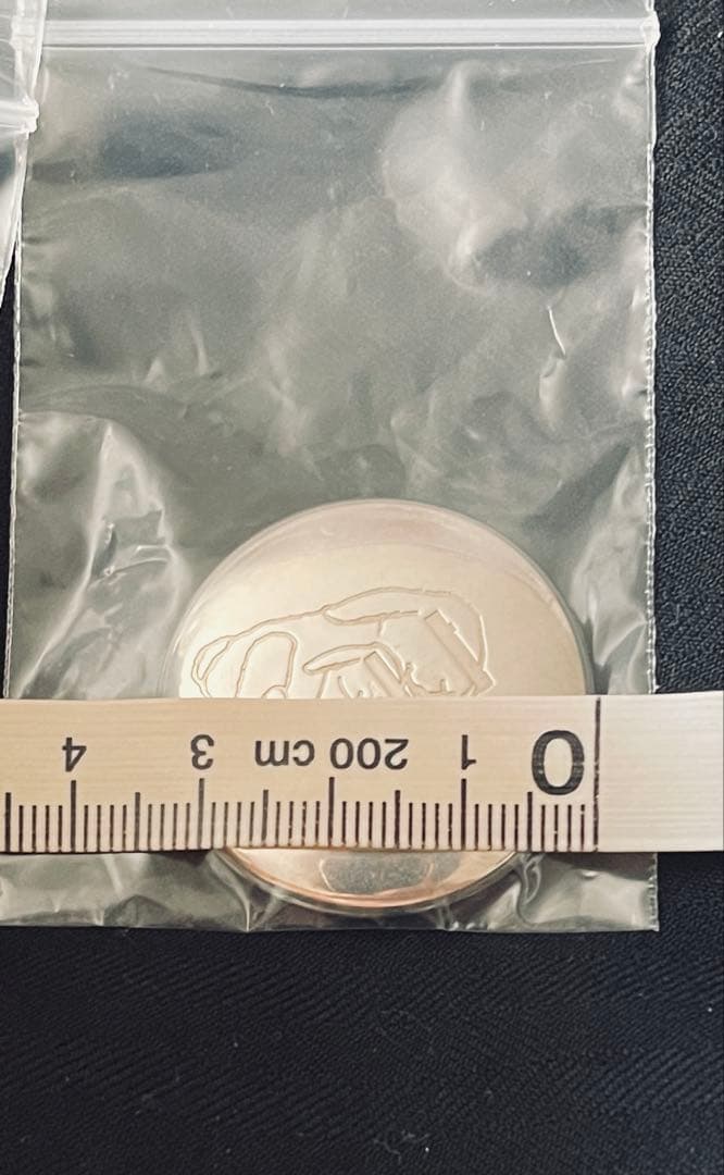 ひ*ー様 undercover bunny シルバー バッジ - メルカリ