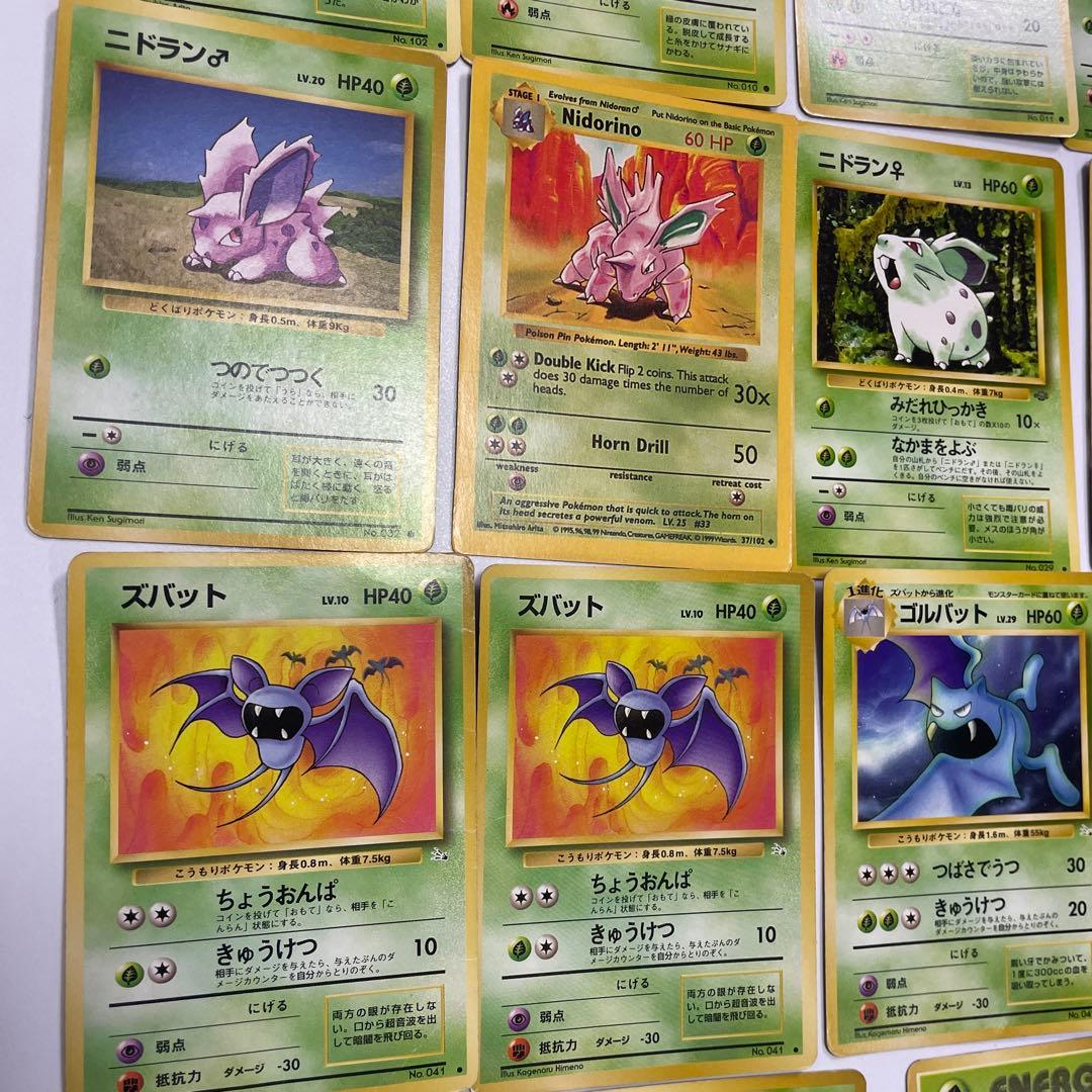 エリカのラフレシア フシギダネ ナゾノクサ コンパン クサイハナ