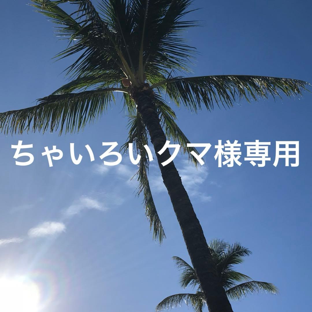 ちゃいろいクマ