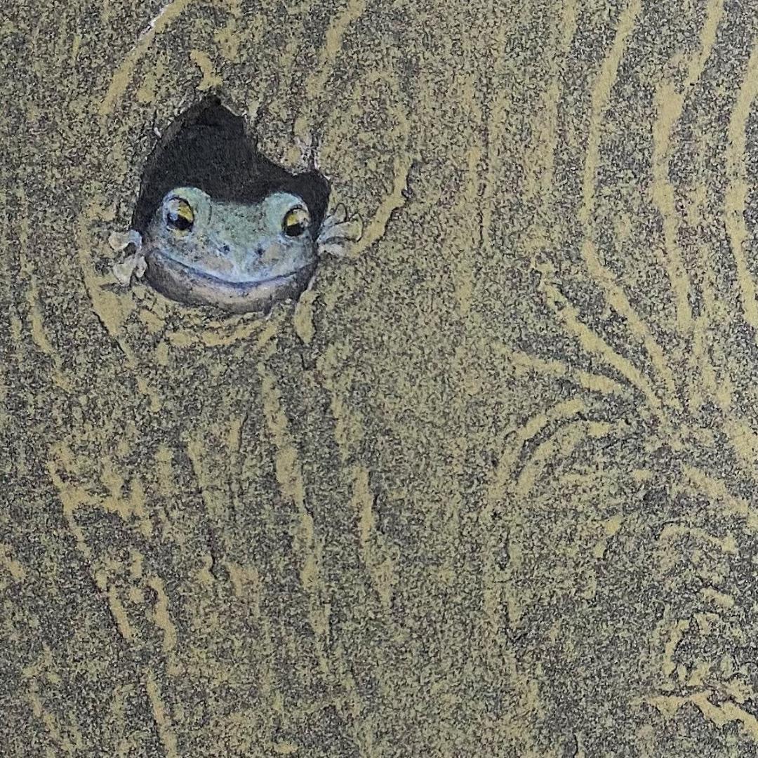 三繩健、【Hello！】、希少な額装用画集より、新品額装付、状態良好