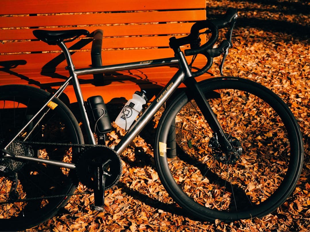 Van Nicholas SK チタンロードバイク 54サイズ