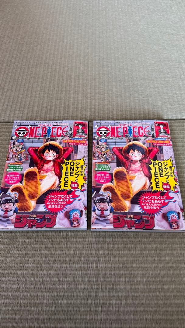 ONE PIECE 20号 特別付録 ワンピースマガジン 20号 プロモカード付