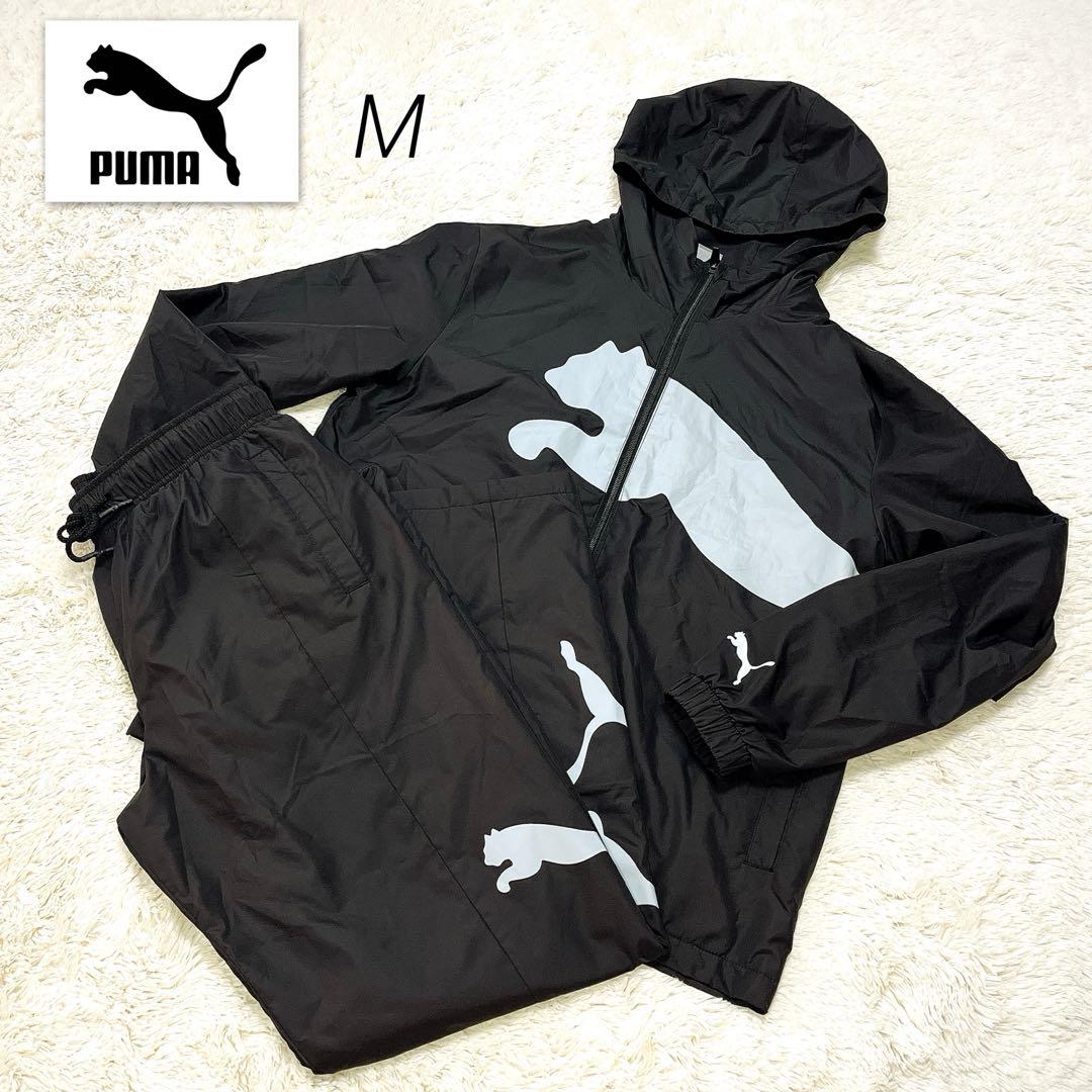 PUMA プーマ　ジャージ　上下セット　セットアップ　M ナイロンジャケット PUMA（プーマ） 送料無料 ジャージ 上下 レディース セットアップ