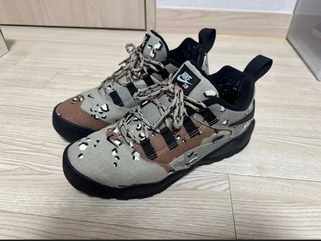 Supreme × Nike SB Darwin Low 箱付き