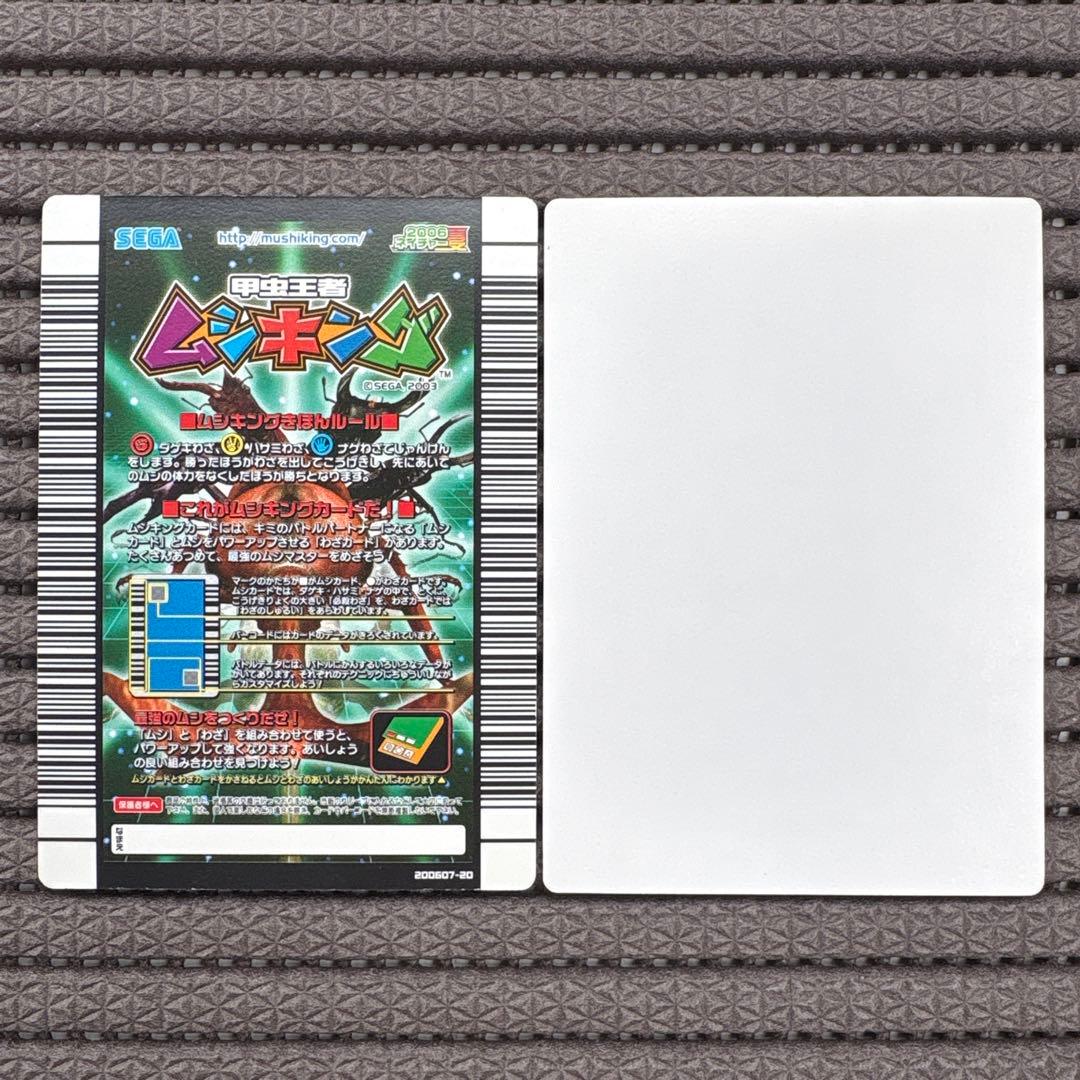 希少 アクティオンゾウカブト 2006夏ネイチャー サンプルカード