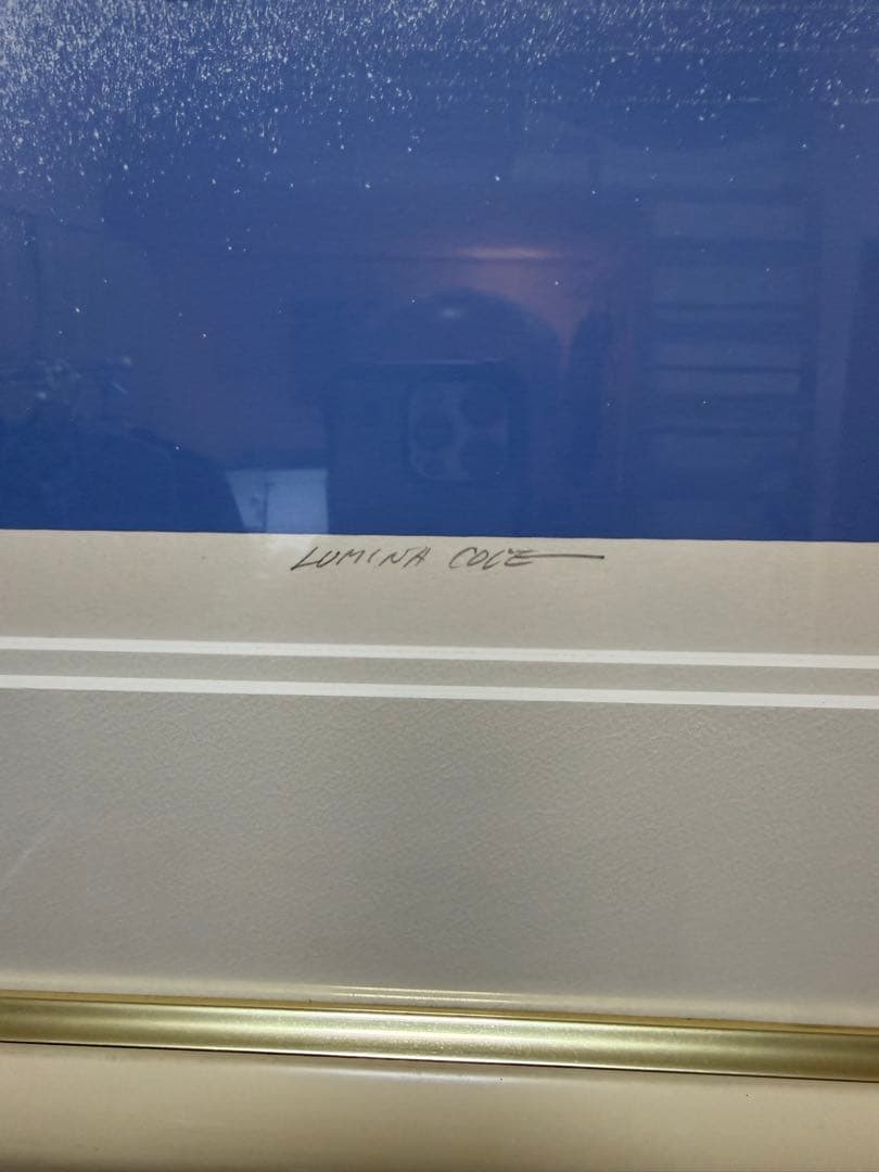 送料込み！キースレイノルズ　Lumina Cove 846/850