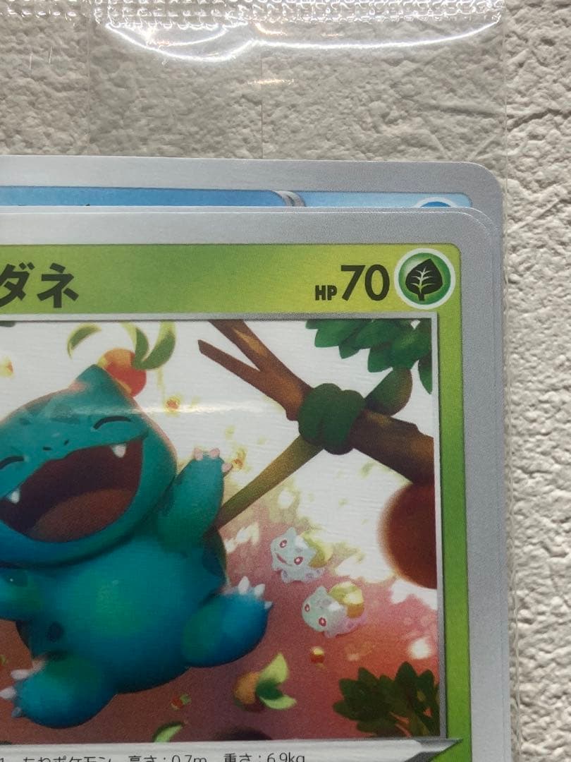 極美品】 イラストレーションコンテスト 2022 プロモ promo 未開封