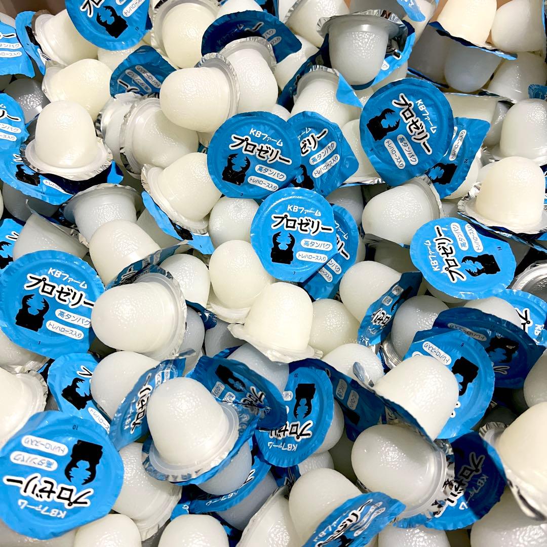 【送料無料】 KBファーム プロゼリー 16ｇ 1000個 純国産 昆虫ゼリー