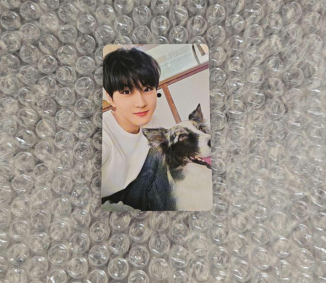 ENHYPEN アンケートトレカ ジョンウォン - メルカリ