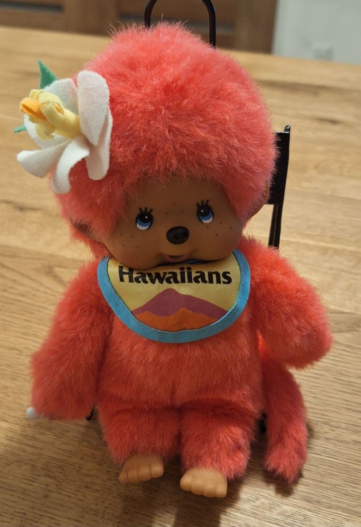 ハワイアンズ　モンチッチ